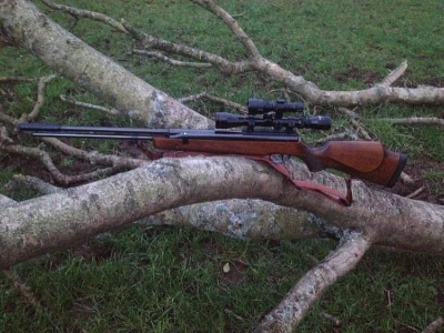 Firearm: BSA Gold Star 