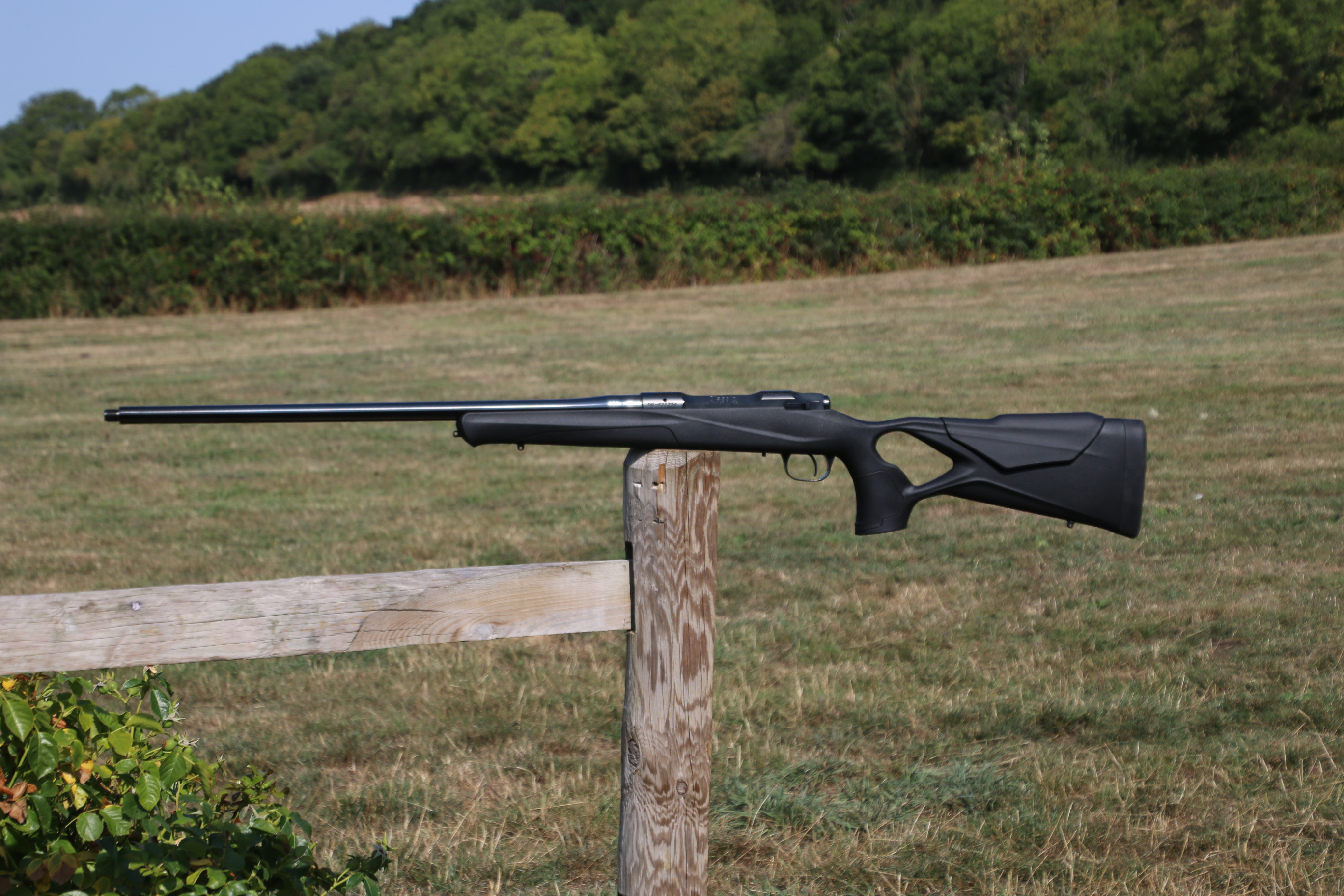 Gun_Image
