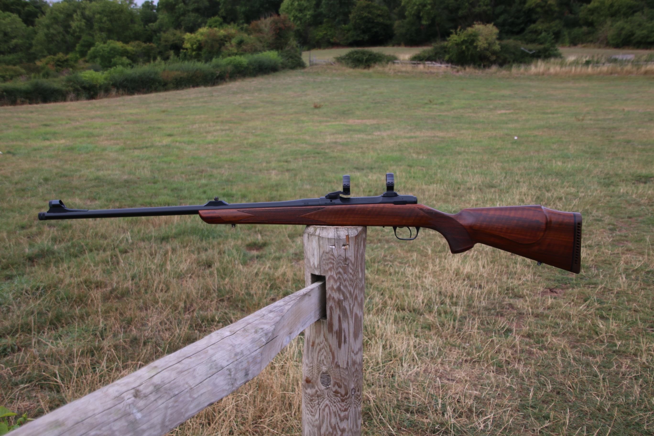 Gun_Image