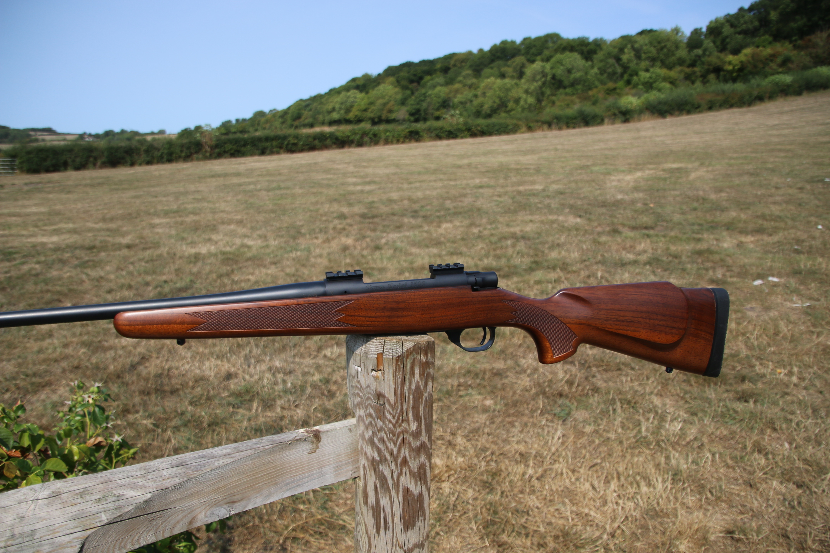 DEFAULT_GUN