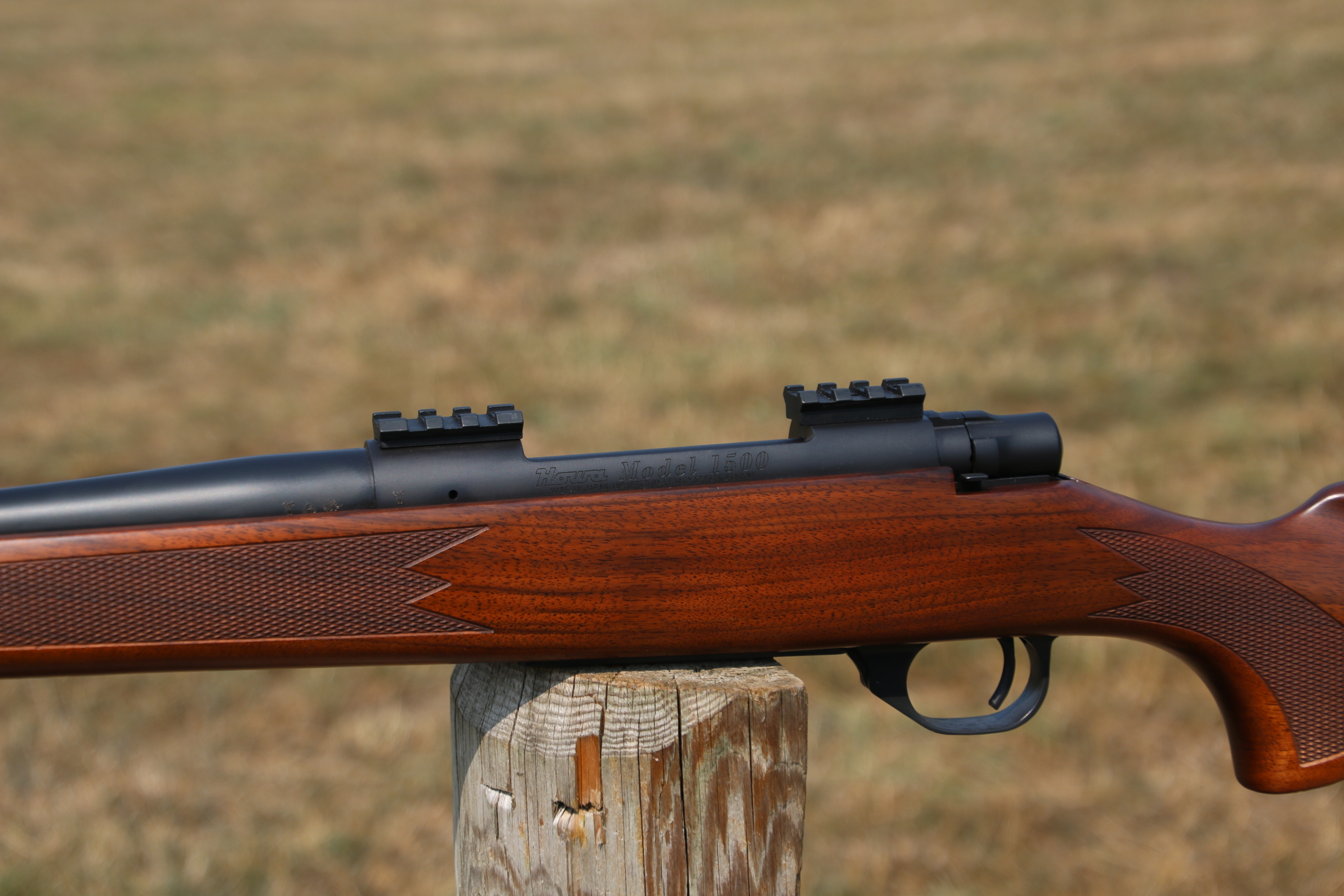 Gun_Image