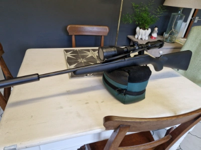 Firearm: CZ 455 American Synthetic