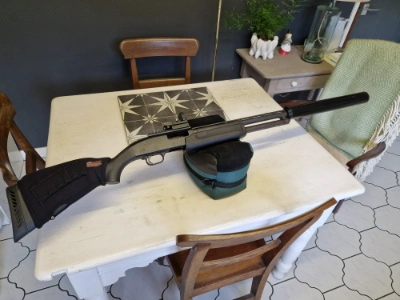 Firearm: Hushpower 20g pump 