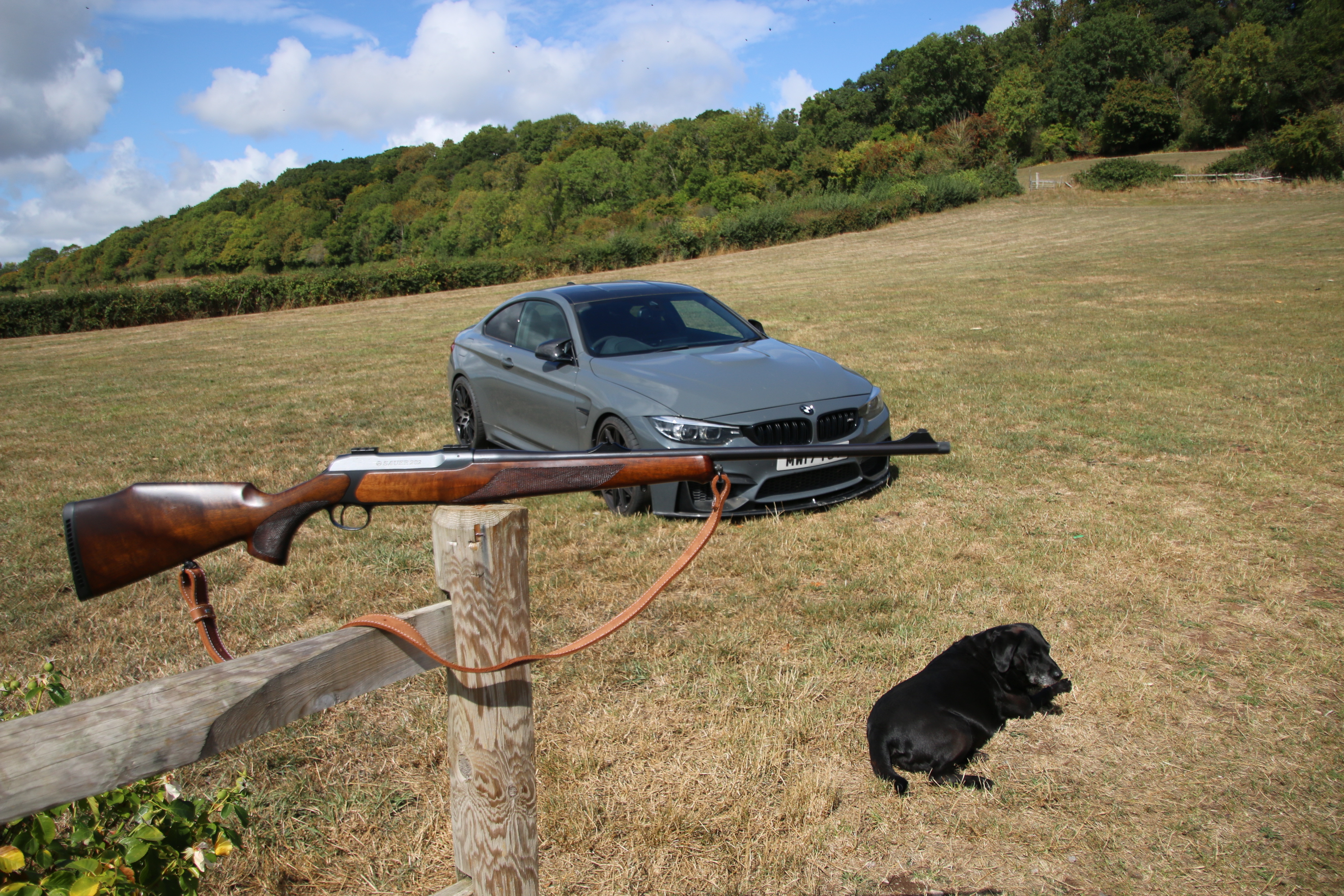 Sauer 202