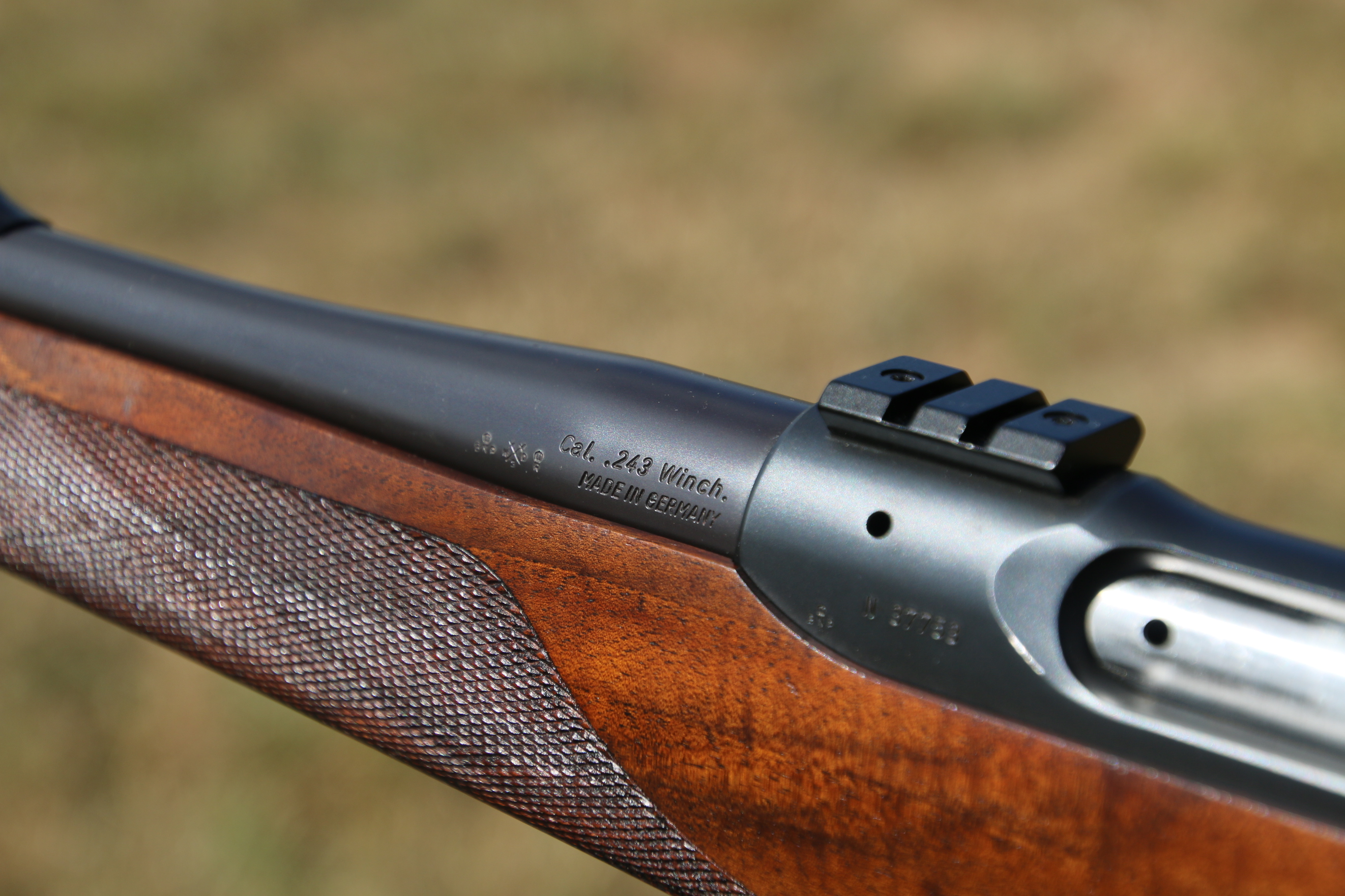 Sauer 202