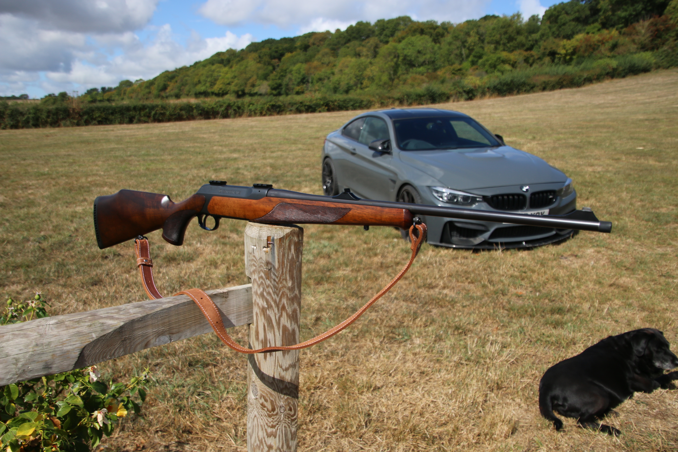Sauer 202