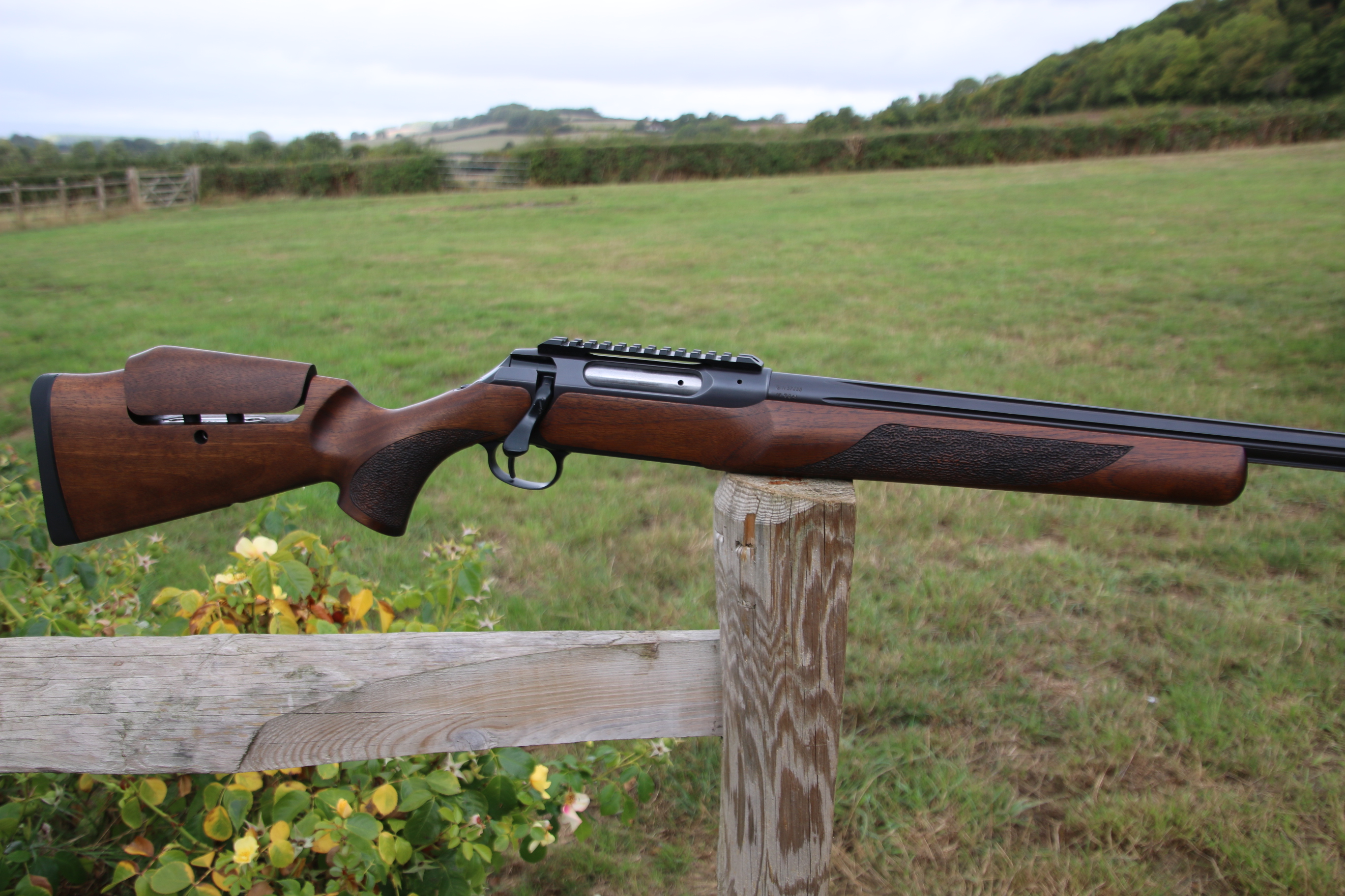Sauer 202