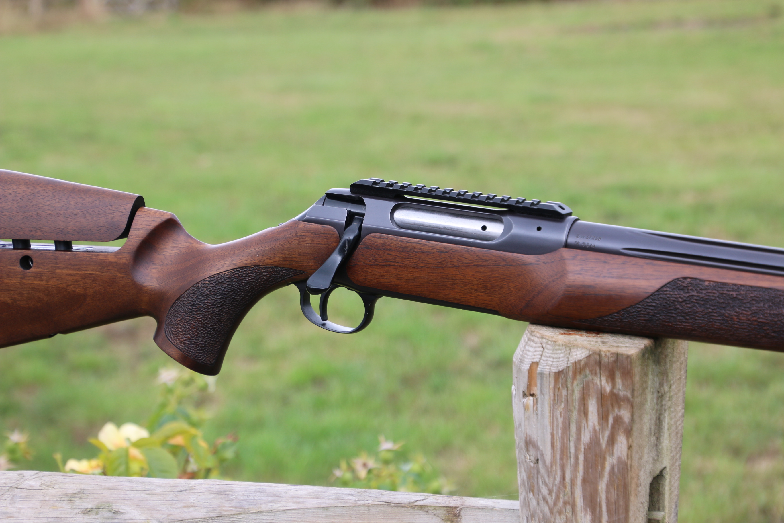 Sauer 202