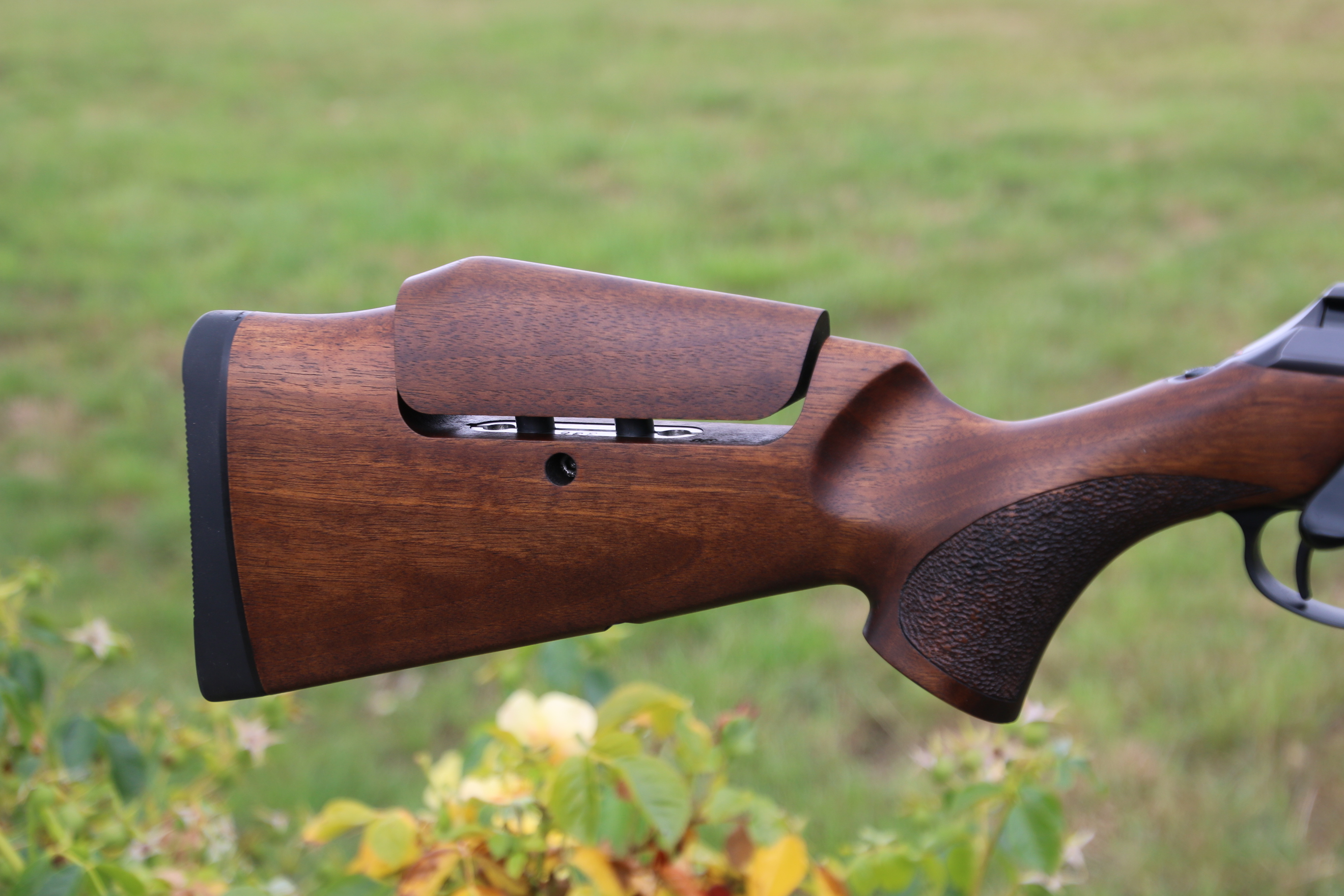 Sauer 202