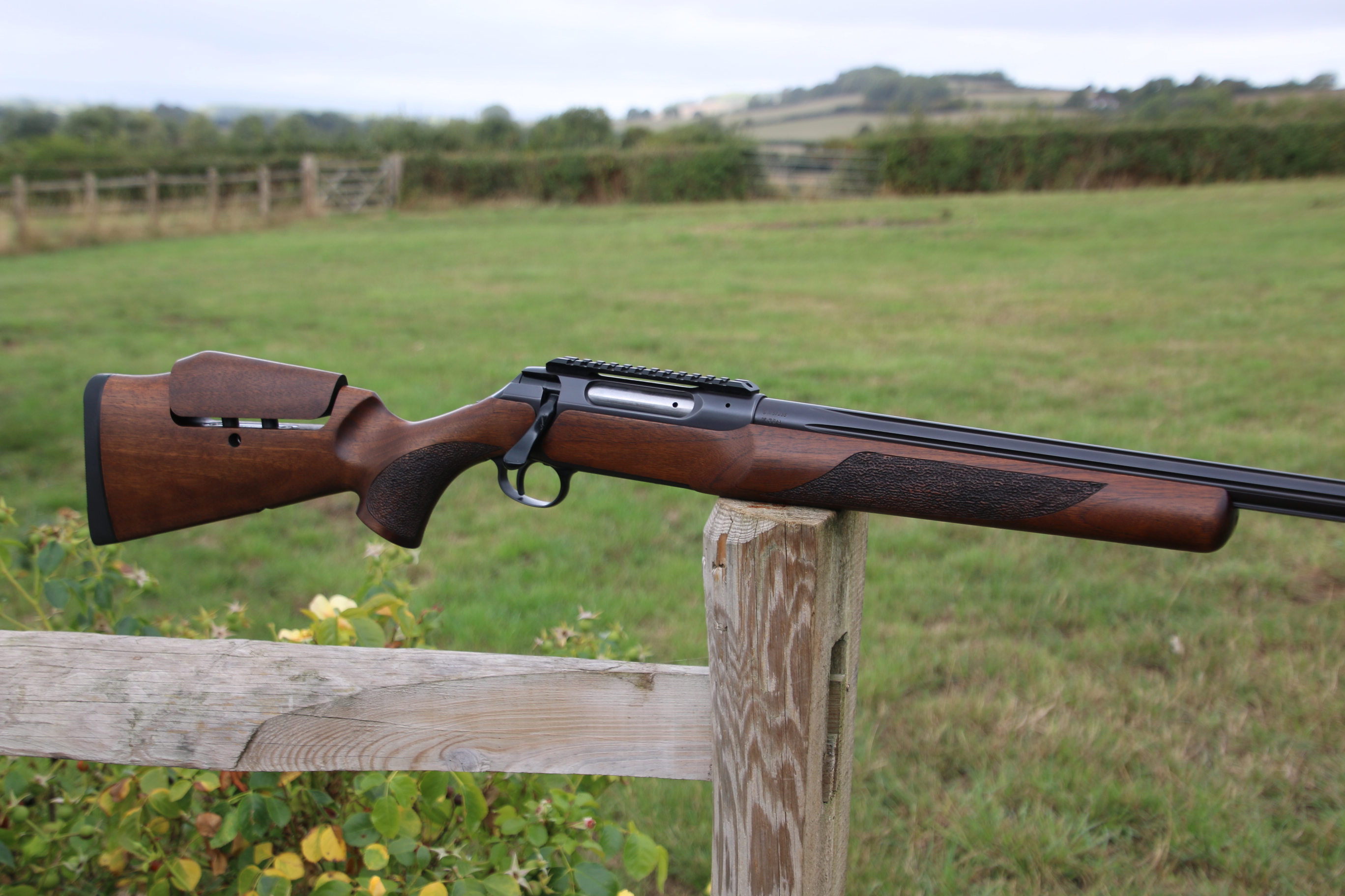 Sauer 202