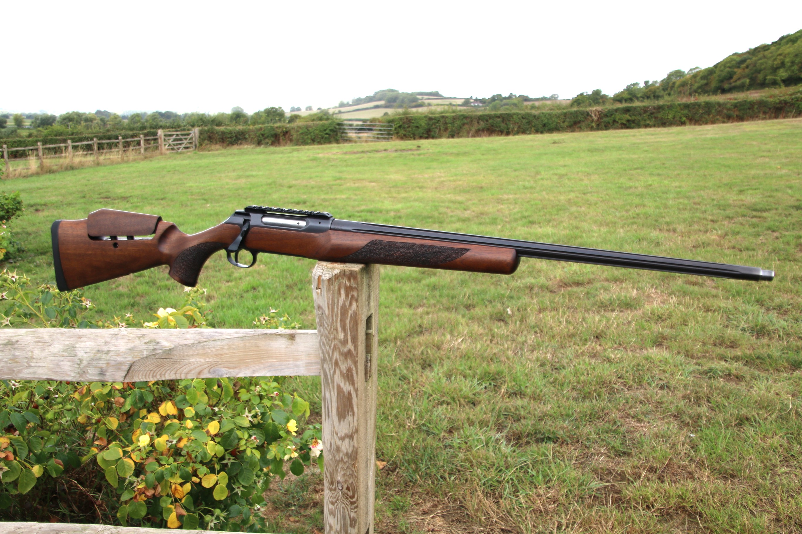 Sauer 202