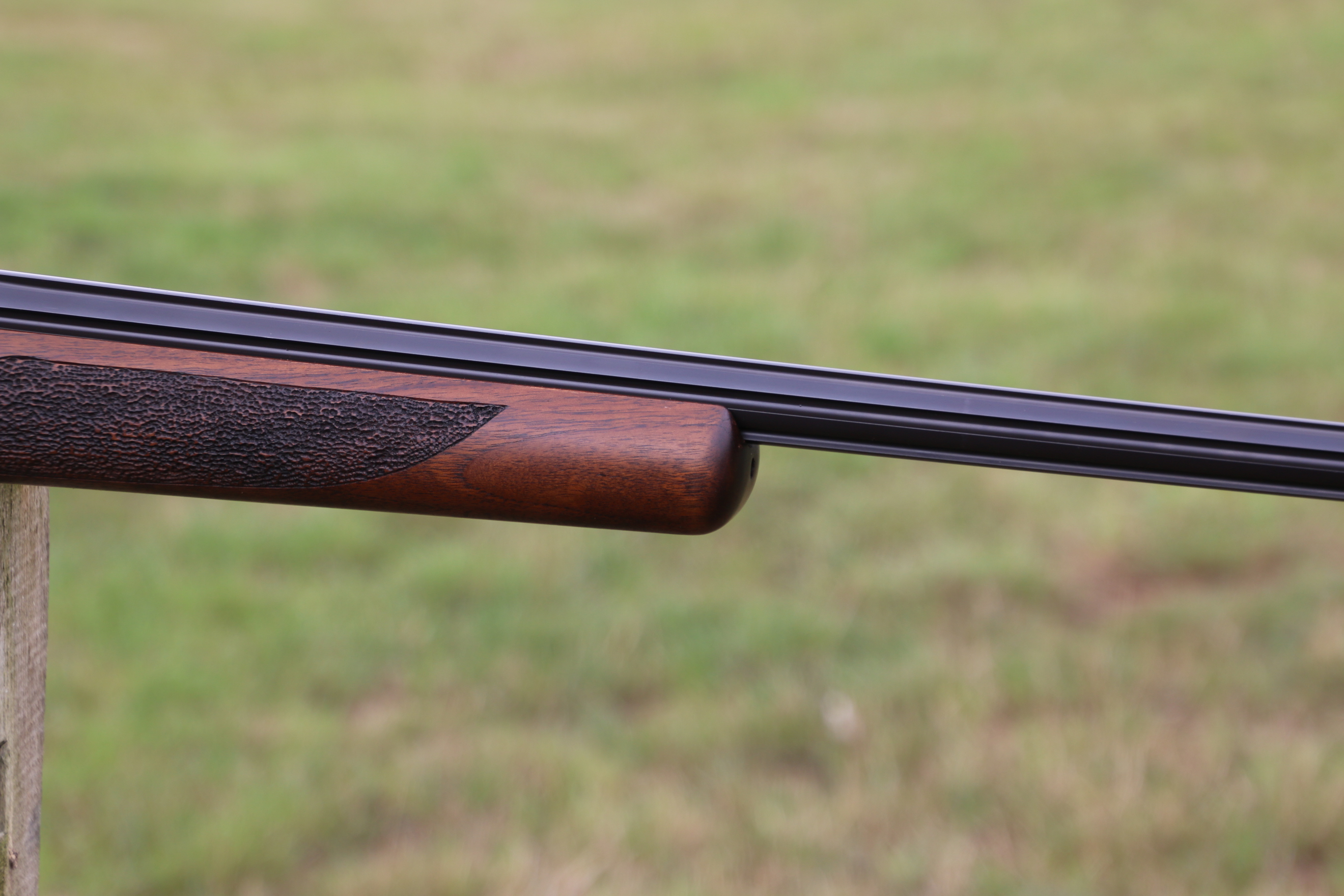 Sauer 202