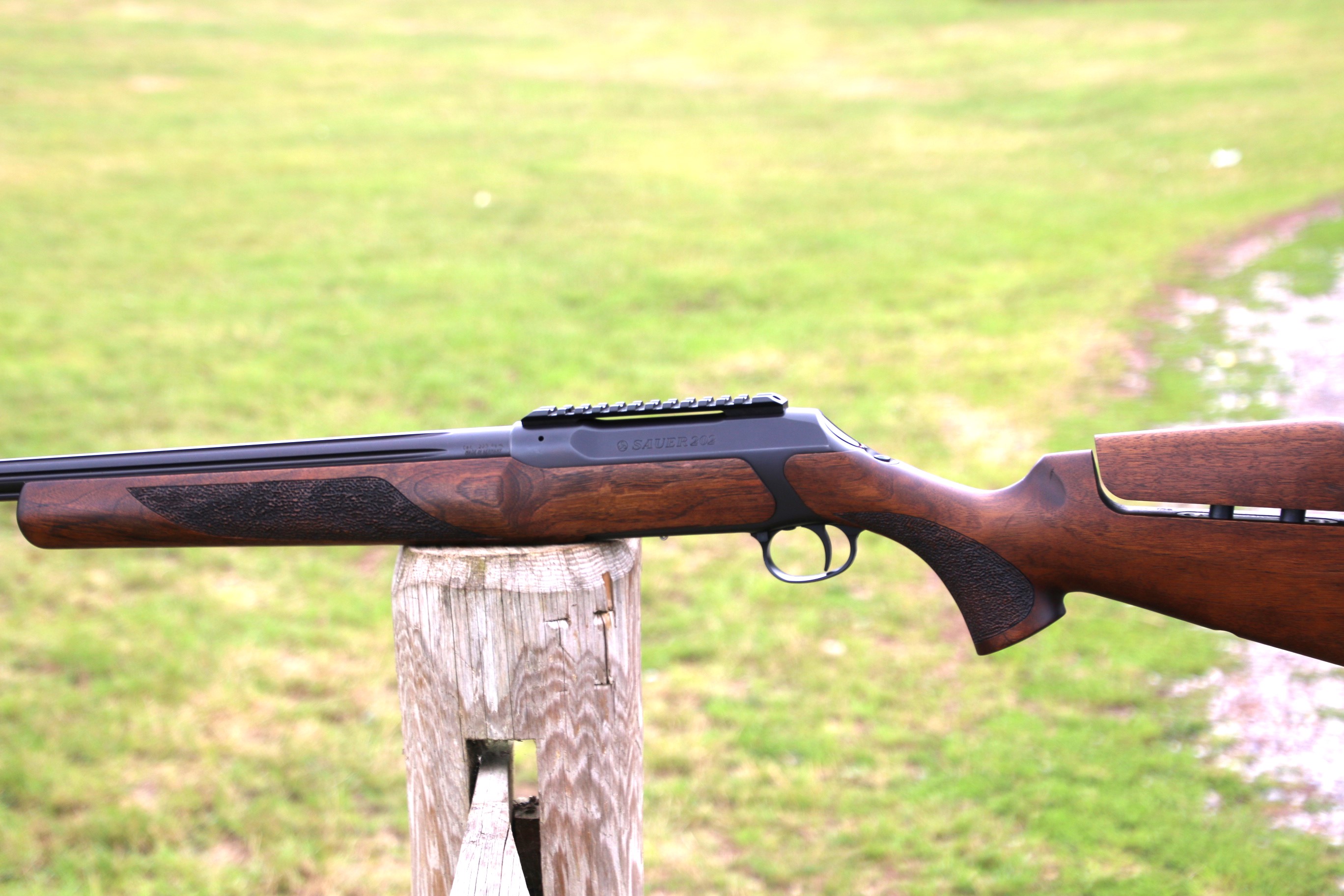 Sauer 202