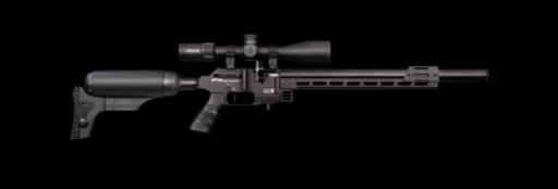 Firearm: FX Dynamic Dynamic Express 500MM