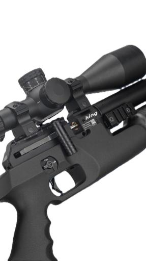 Firearm: FX King 500 Synthetic