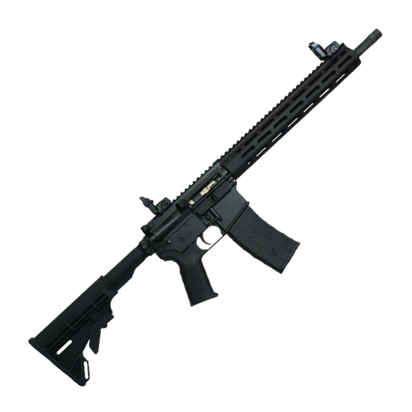 Firearm: Tippmann Arms M4 Elite-L