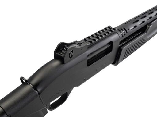 Firearm: Armsan RS X2