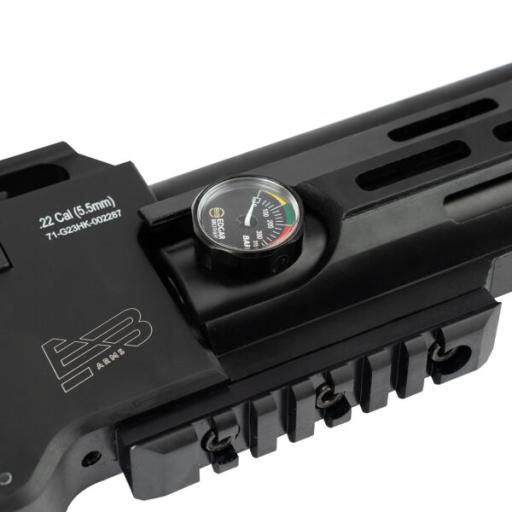 Firearm: Edgar Brothers XV2 RS