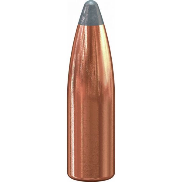 Speer Grand Slam Rifle Ammo