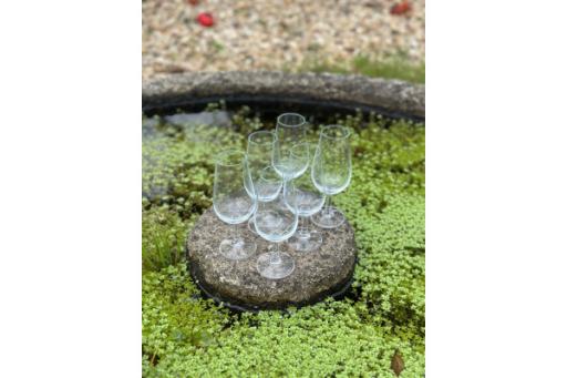 Firearm: Rey Pavon Port-Sherry Glasses Set Of 6