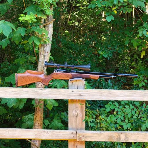 Firearm: Daystate Huntsman Regal