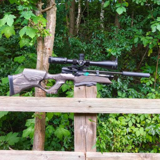 Firearm: Weihrauch HW 110 KT Laminate