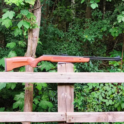 Firearm: Weihrauch HW 57 