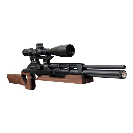 Firearm: Steyr Challenge BR25