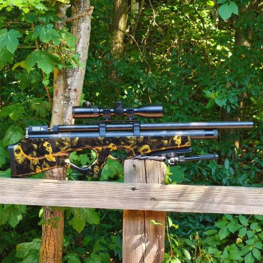 Firearm: SMK Artemis P10 Custom