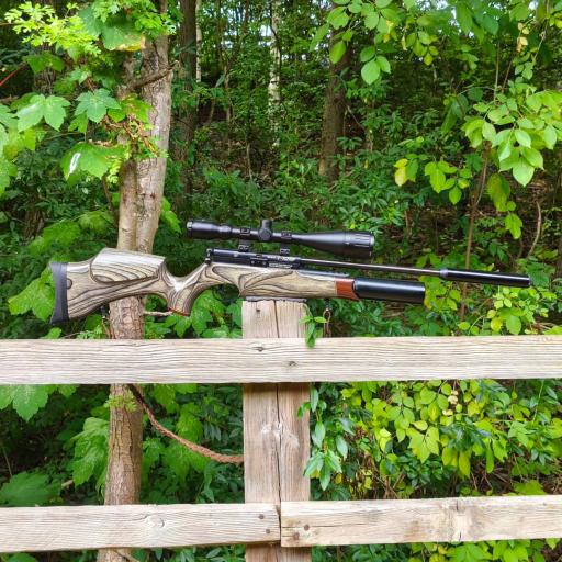 Firearm: BSA R10 MK2 Laminate