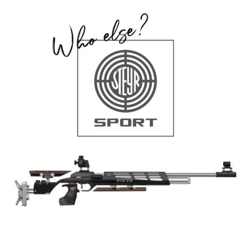 Firearm: Steyr service and tuning 