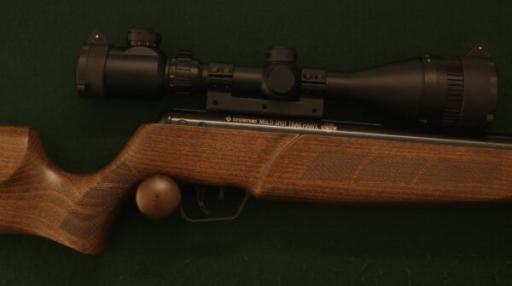 Firearm: Crosman Trailhawk 
