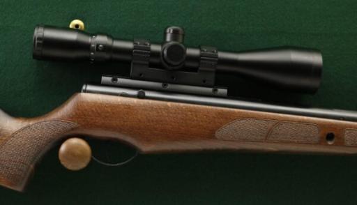 Firearm: BSA Lightning SE