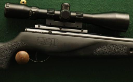 Firearm: BSA Lightning XL SE GRT