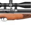 Armory photos