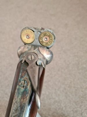 Firearm: AYA Magnum S/b/s