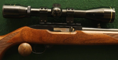 Firearm: Ruger 10-22 Sporter