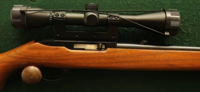 Firearm: Ruger 10-22 Carbine