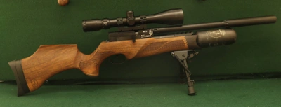 Firearm: BSA R12 SLX