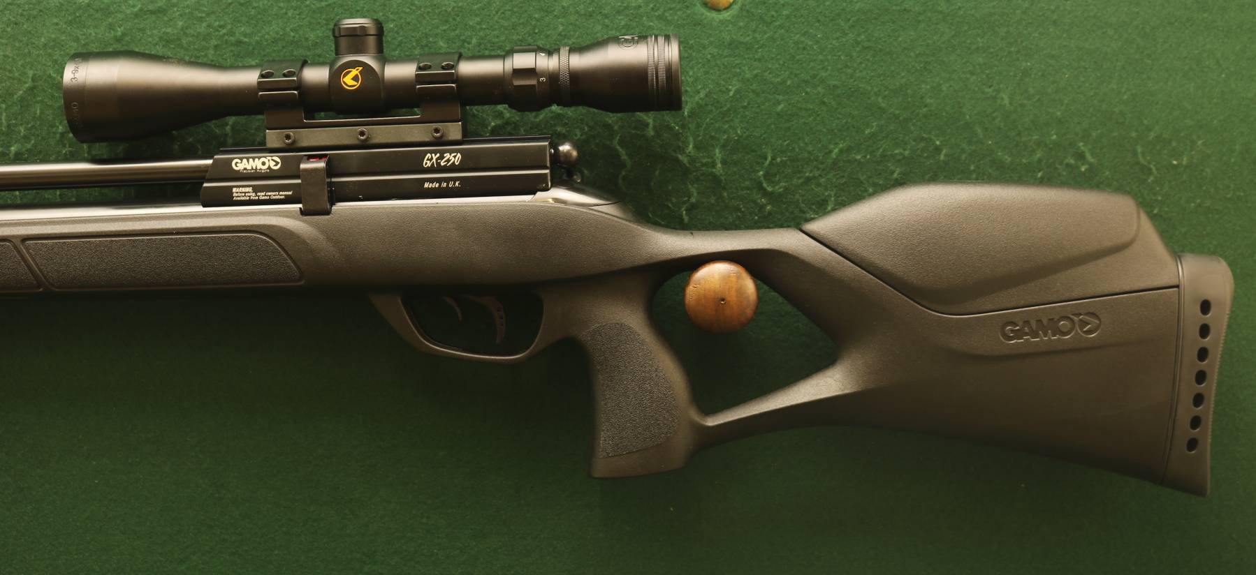 Gamo GX