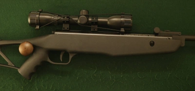 Firearm: Crosman Inferno 