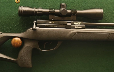 Firearm: Gamo GX 250