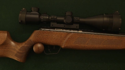 Firearm: Crosman Trailhawk 