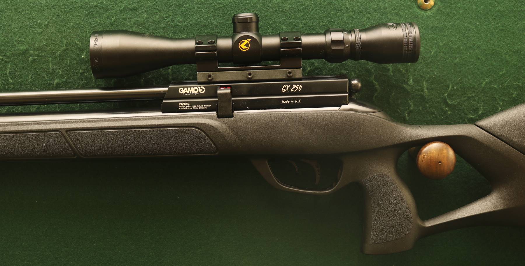 Gamo GX