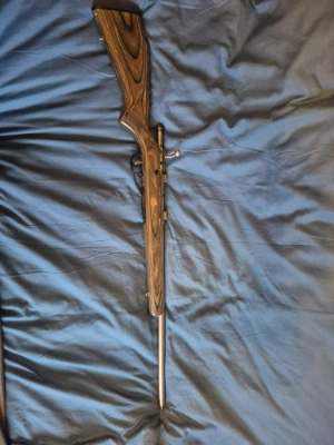 Firearm: Savage Arms 93R17 BTVS