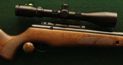 Firearm: BSA Lightning SE