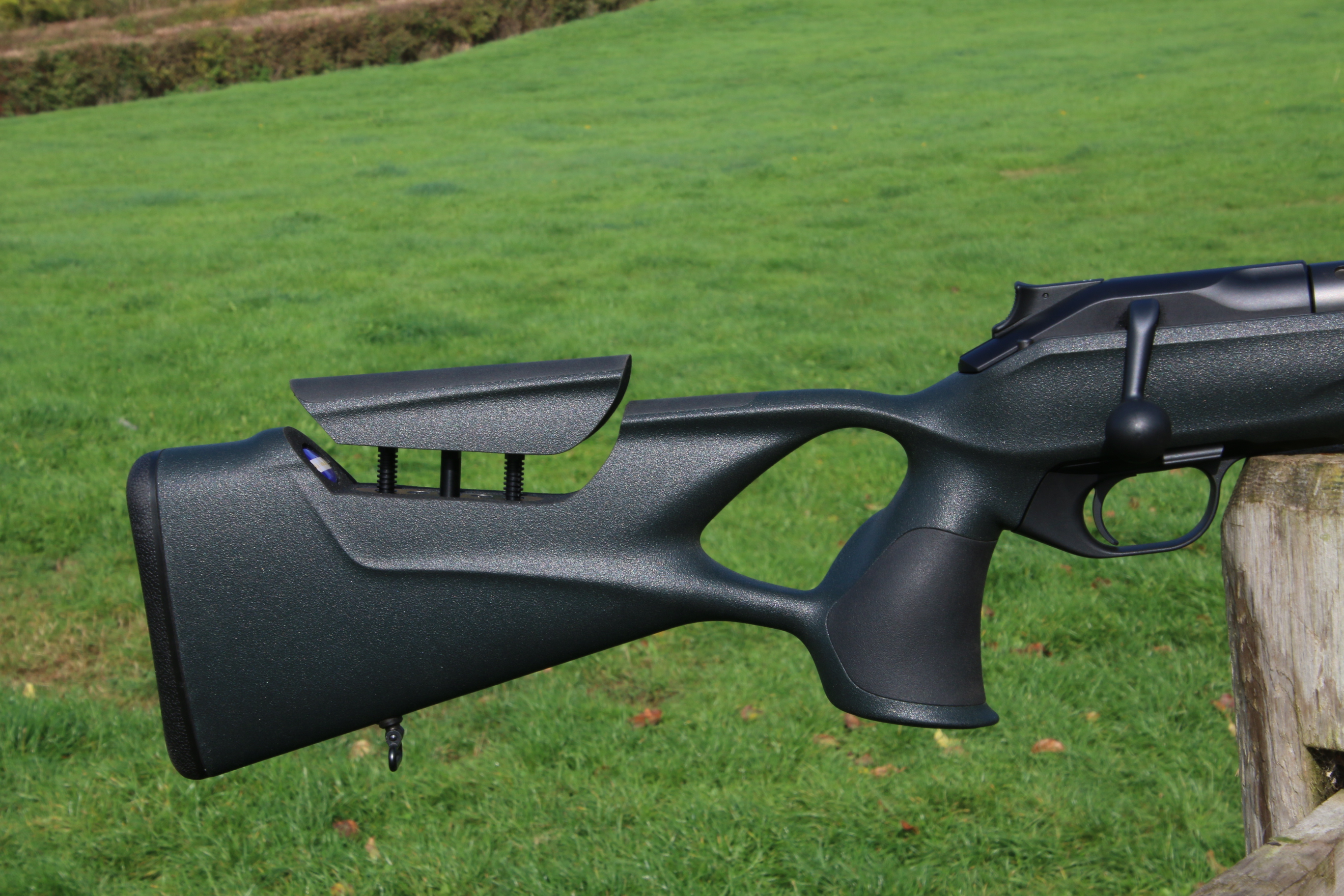 Blaser R8