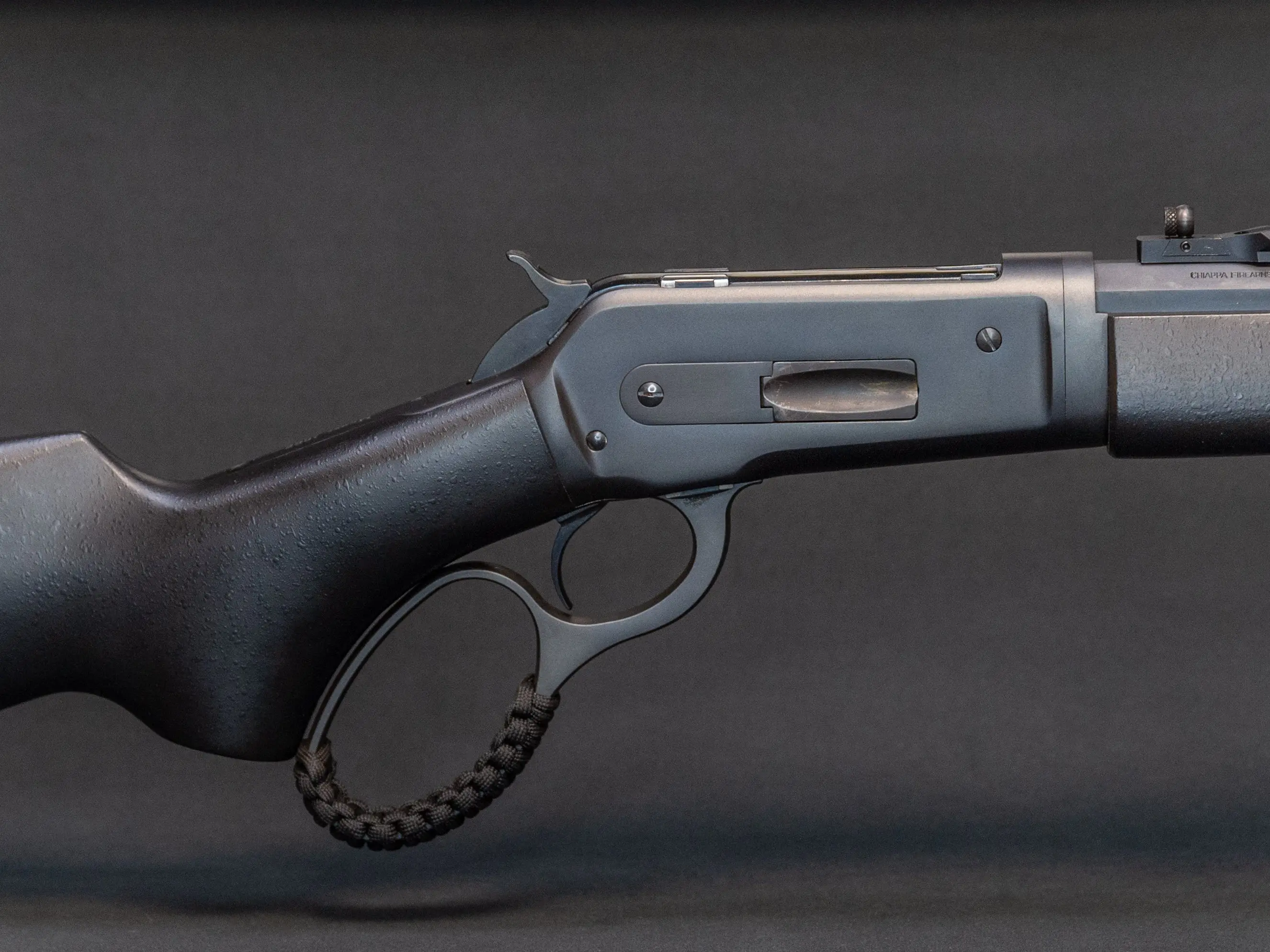 Chiappa 1886
