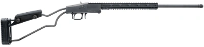 Firearm: Chiappa Big Badger 
