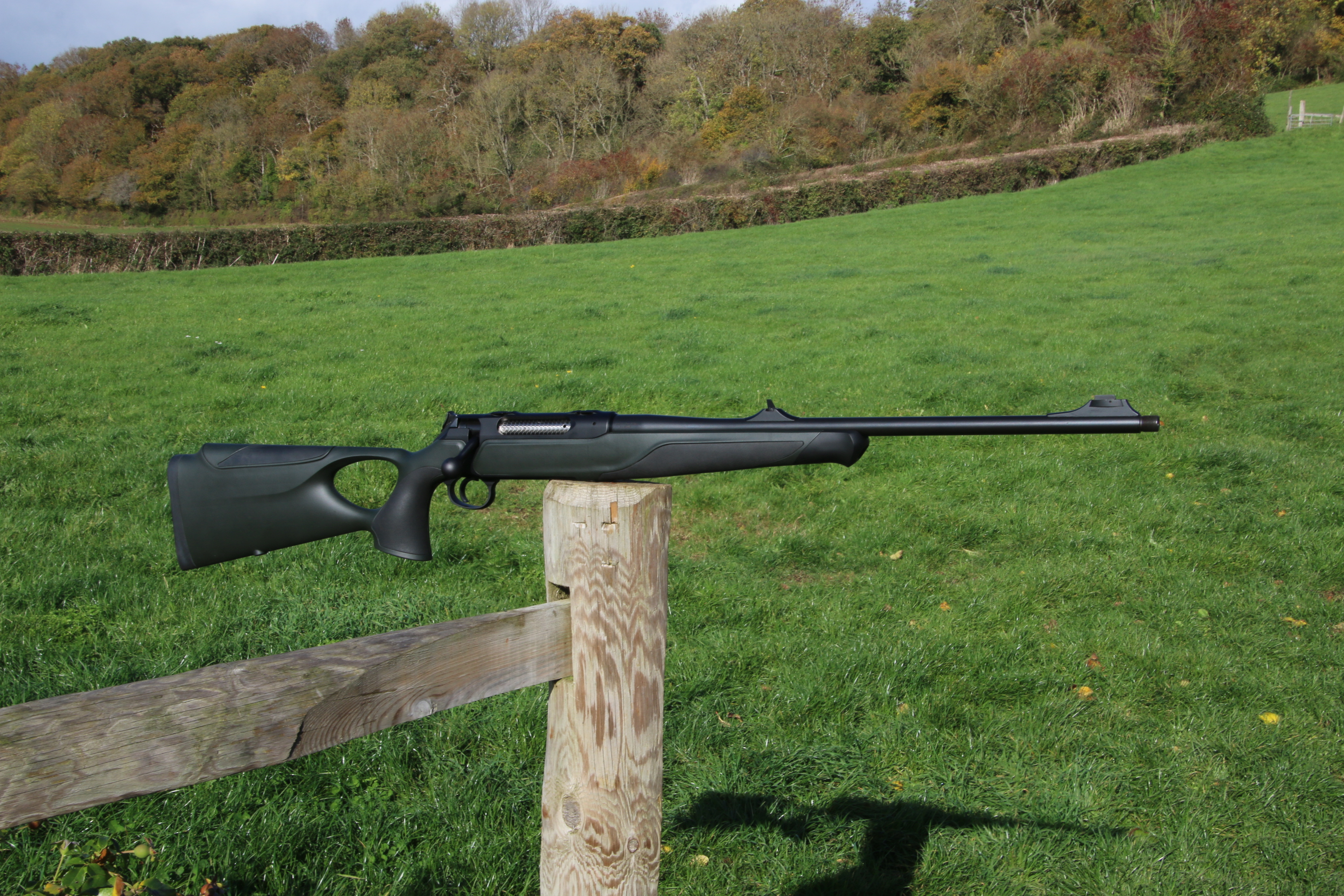 Sauer 404
